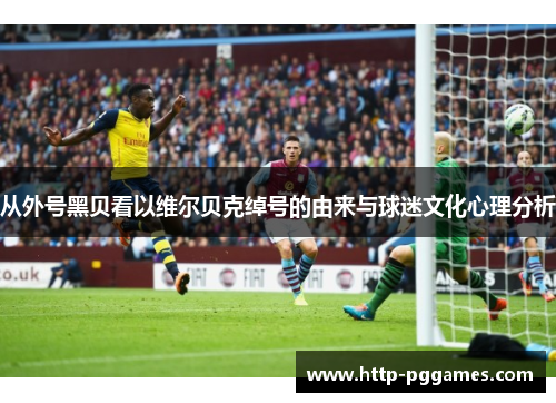 从外号黑贝看以维尔贝克绰号的由来与球迷文化心理分析 从外号黑贝看以维尔贝克绰号的由来与球迷文化心理分析