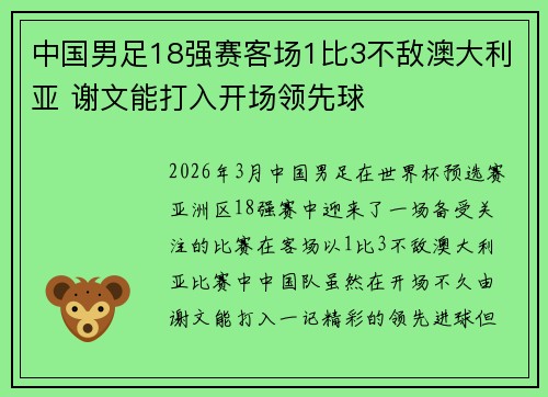 中国男足18强赛客场1比3不敌澳大利亚 谢文能打入开场领先球